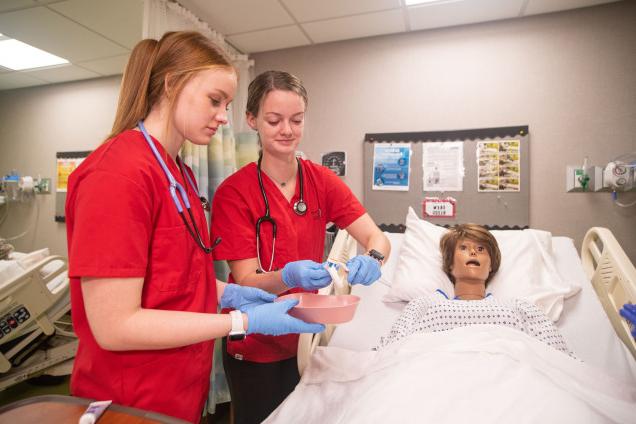 Carthage students majoring in nursing work with a human simulator mannequin.